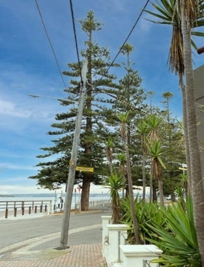 Northern Beaches Council 